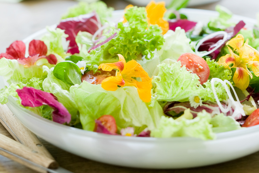 Bunter Salat mit Kürbiskernöl-Dressing