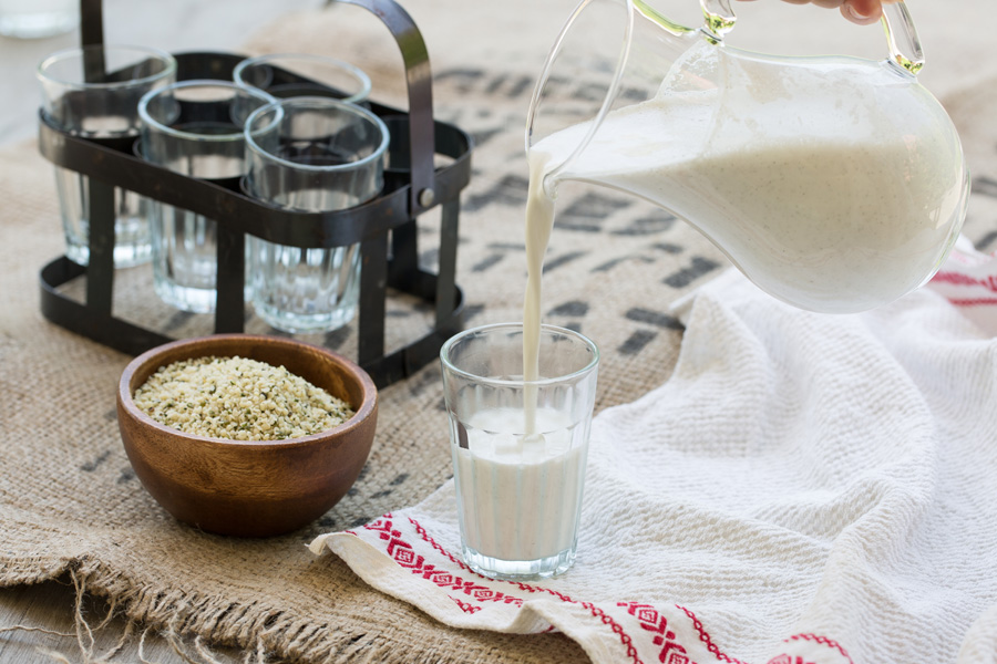 Hanfmilch, ganz einfach selbstgemacht