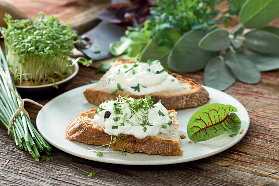 Veggie-Rezept: Kräuter-Quark - Jedes Essen zählt