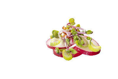 Radieschensprossen